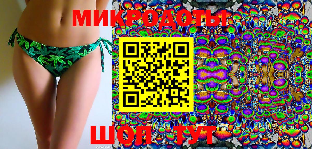 Тайшет  Галлюциногенные грибы Psilocybine cubensis  Вход с VPN 